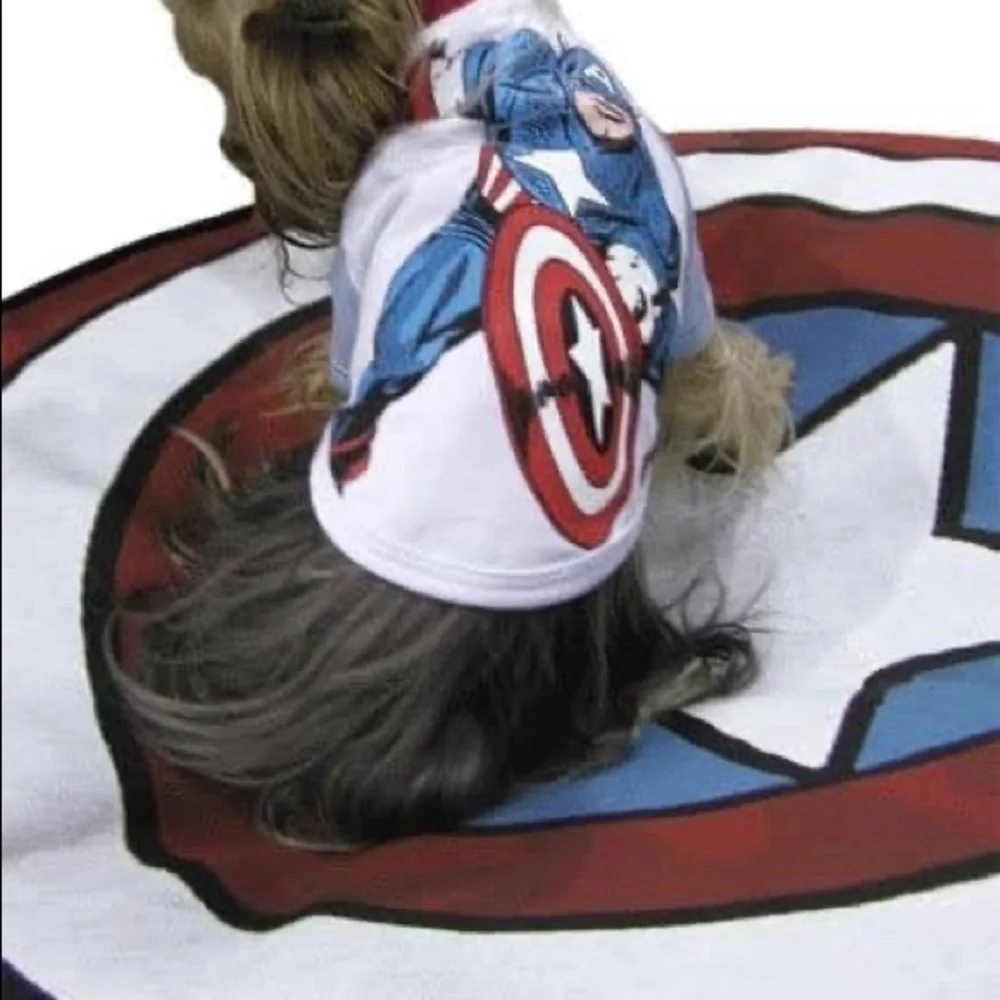 Dog Bed Cover Superhero Captain America Shield